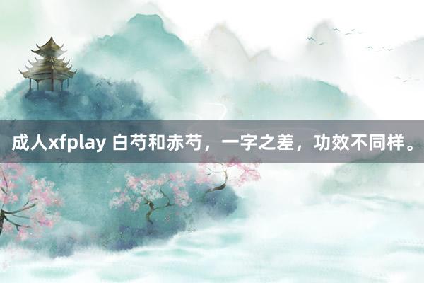 成人xfplay 白芍和赤芍，一字之差，功效不同样。