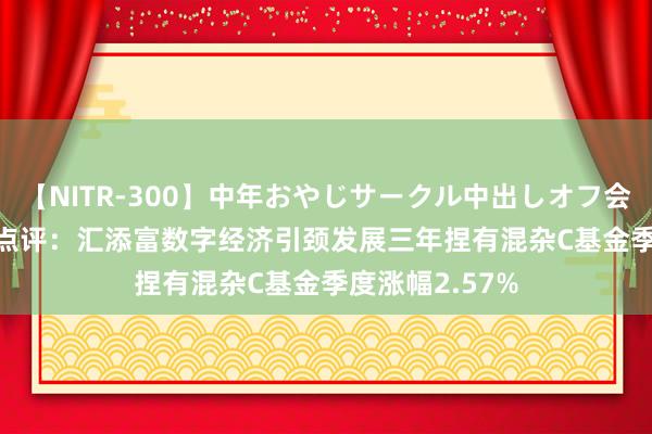 【NITR-300】中年おやじサークル中出しオフ会 BEST 二季报点评：汇添富数字经济引颈发展三年捏有混杂C基金季度涨幅2.57%