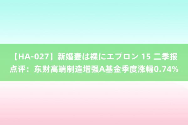 【HA-027】新婚妻は裸にエプロン 15 二季报点评：东财高端制造增强A基金季度涨幅0.74%