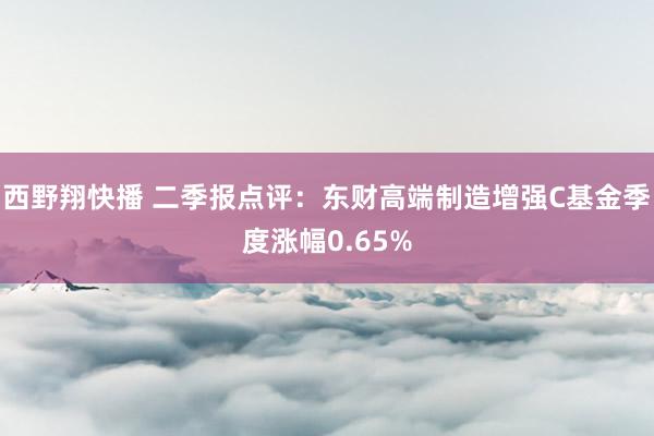 西野翔快播 二季报点评：东财高端制造增强C基金季度涨幅0.65%