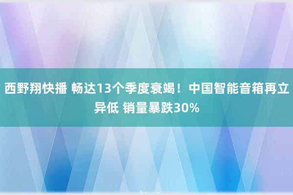 西野翔快播 畅达13个季度衰竭！中国智能音箱再立异低 销量暴跌30%