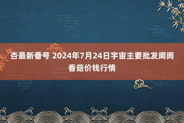 杏最新番号 2024年7月24日宇宙主要批发阛阓香菇价钱行情