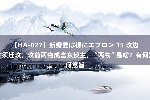 【HA-027】新婚妻は裸にエプロン 15 坟边长竹须迁坟，坟前两物成富东谈主，“两物”是啥？有何意旨