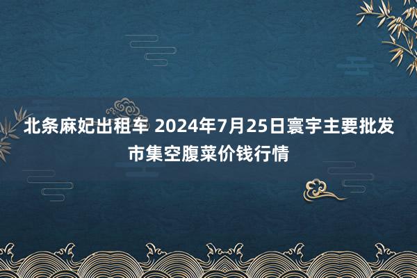 北条麻妃出租车 2024年7月25日寰宇主要批发市集空腹菜价钱行情