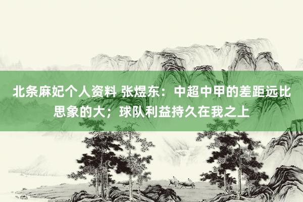 北条麻妃个人资料 张煜东：中超中甲的差距远比思象的大；球队利益持久在我之上