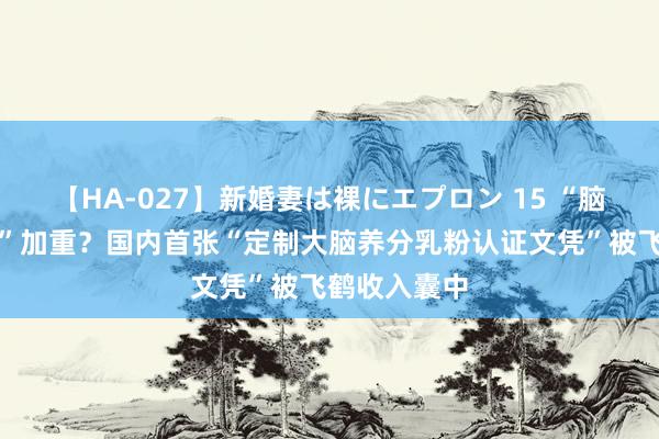 【HA-027】新婚妻は裸にエプロン 15 “脑科学远程战”加重？国内首张“定制大脑养分乳粉认证文凭”被飞鹤收入囊中