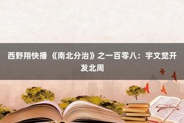 西野翔快播 《南北分治》之一百零八：宇文觉开发北周