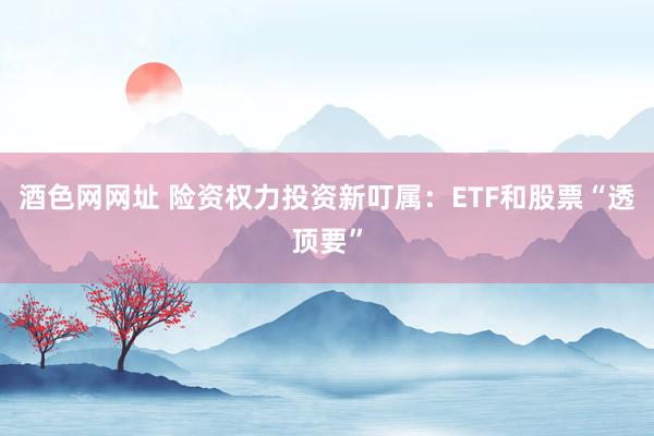 酒色网网址 险资权力投资新叮属：ETF和股票“透顶要”