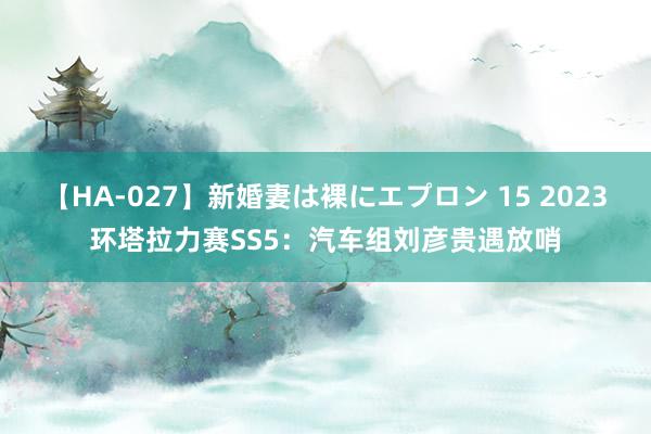 【HA-027】新婚妻は裸にエプロン 15 2023环塔拉力赛SS5：汽车组刘彦贵遇放哨