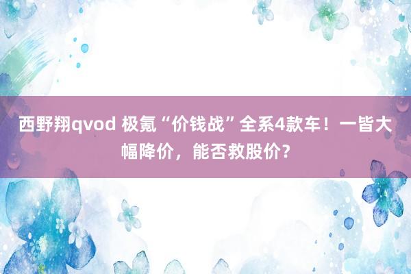 西野翔qvod 极氪“价钱战”全系4款车！一皆大幅降价，能否救股价？