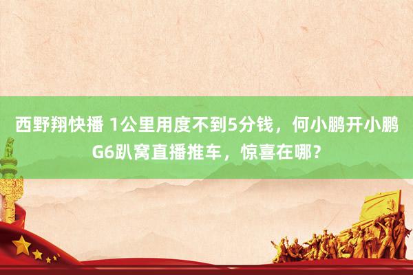 西野翔快播 1公里用度不到5分钱，何小鹏开小鹏G6趴窝直播推车，惊喜在哪？