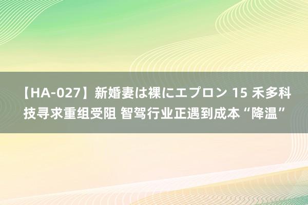 【HA-027】新婚妻は裸にエプロン 15 禾多科技寻求重组受阻 智驾行业正遇到成本“降温”