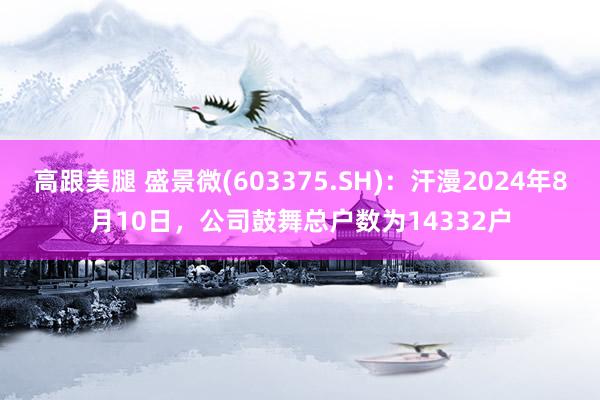 高跟美腿 盛景微(603375.SH)：汗漫2024年8月10日，公司鼓舞总户数为14332户