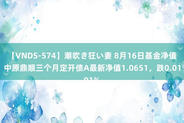 【VNDS-574】潮吹き狂い妻 8月16日基金净值：中原鼎顺三个月定开债A最新净值1.0651，跌0.01%