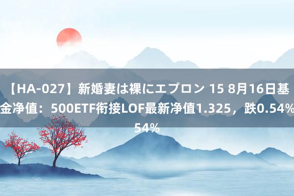 【HA-027】新婚妻は裸にエプロン 15 8月16日基金净值：500ETF衔接LOF最新净值1.325，跌0.54%