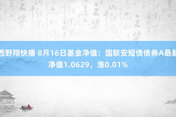 西野翔快播 8月16日基金净值：国联安短债债券A最新净值1.0629，涨0.01%