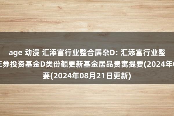 age 动漫 汇添富行业整合羼杂D: 汇添富行业整合主题羼杂型证券投资基金D类份额更新基金居品贵寓提要(2024年08月21日更新)