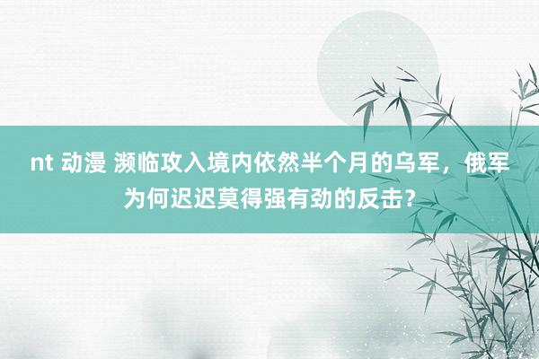 nt 动漫 濒临攻入境内依然半个月的乌军，俄军为何迟迟莫得强有劲的反击？