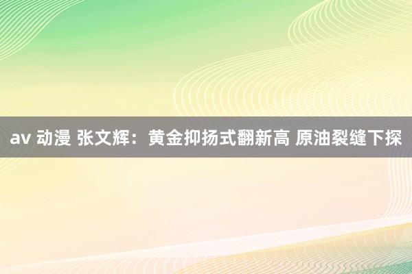 av 动漫 张文辉：黄金抑扬式翻新高 原油裂缝下探