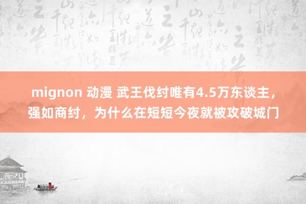 mignon 动漫 武王伐纣唯有4.5万东谈主，强如商纣，为什么在短短今夜就被攻破城门