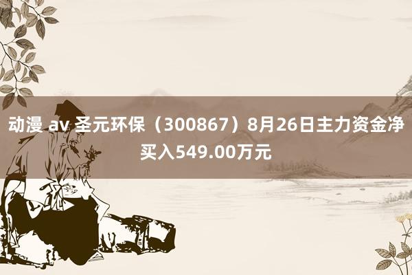 动漫 av 圣元环保（300867）8月26日主力资金净买入549.00万元