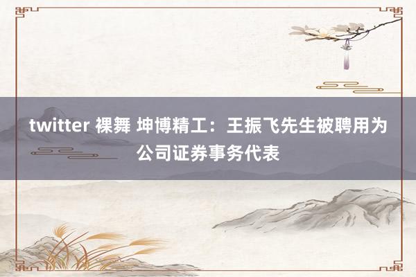 twitter 裸舞 坤博精工：王振飞先生被聘用为公司证券事务代表