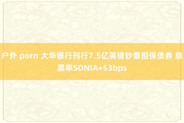 户外 porn 大华银行刊行7.5亿英镑钞票担保债券 息票率SONIA+53bps