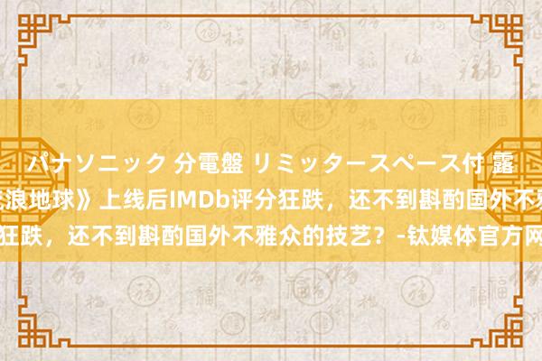 パナソニック 分電盤 リミッタースペース付 露出・半埋込両用形 《流浪地球》上线后IMDb评分狂跌，还不到斟酌国外不雅众的技艺？-钛媒体官方网站