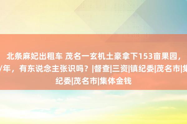 北条麻妃出租车 茂名一玄机土豪拿下153亩果园，27万元/年，有东说念主张识吗？|督查|三资|镇纪委|茂名市|集体金钱