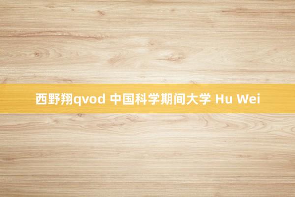 西野翔qvod 中国科学期间大学 Hu Wei