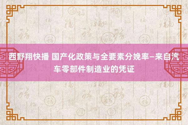 西野翔快播 国产化政策与全要素分娩率—来自汽车零部件制造业的凭证