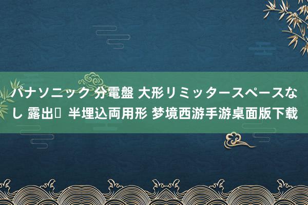 パナソニック 分電盤 大形リミッタースペースなし 露出・半埋込両用形 梦境西游手游桌面版下载