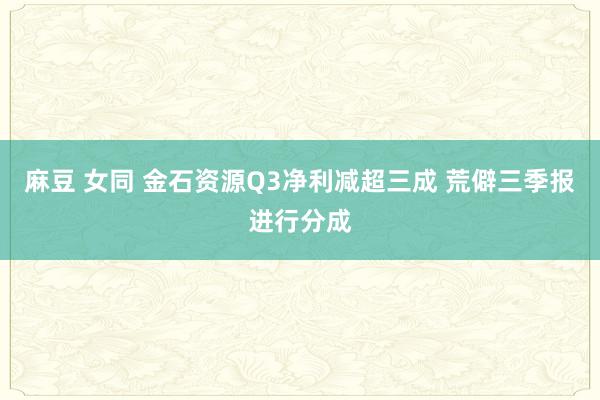 麻豆 女同 金石资源Q3净利减超三成 荒僻三季报进行分成