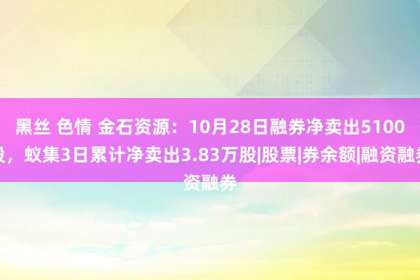 黑丝 色情 金石资源：10月28日融券净卖出5100股，蚁集3日累计净卖出3.83万股|股票|券余额|融资融券