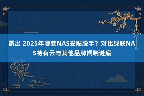 露出 2025年哪款NAS妥贴脱手？对比绿联NAS特有云与其他品牌揭晓谜底