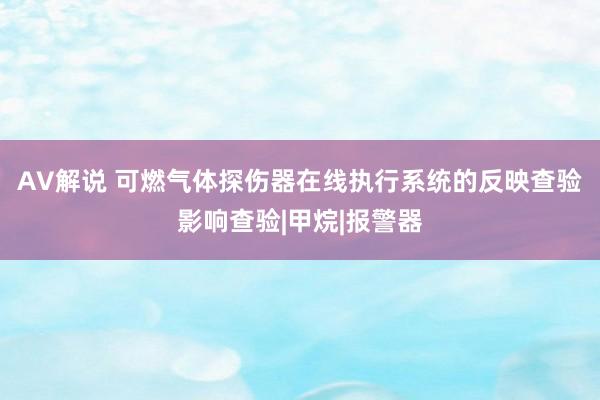 AV解说 可燃气体探伤器在线执行系统的反映查验影响查验|甲烷|报警器